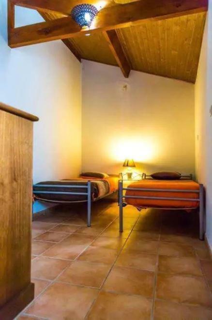 Parada  "Casa Do Avo Patricio" Mountain Experience 빌라 외부 사진